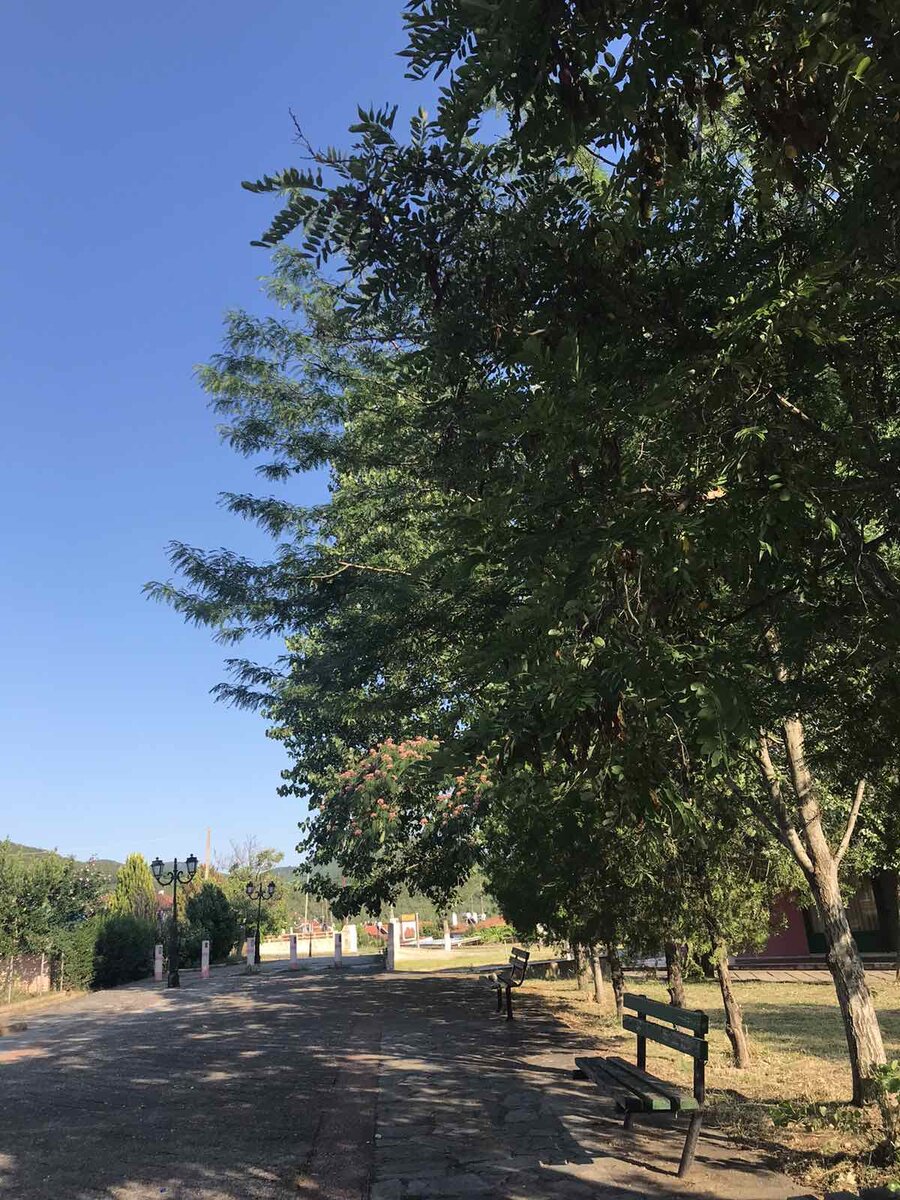 Как же здесь хорошо в жару...