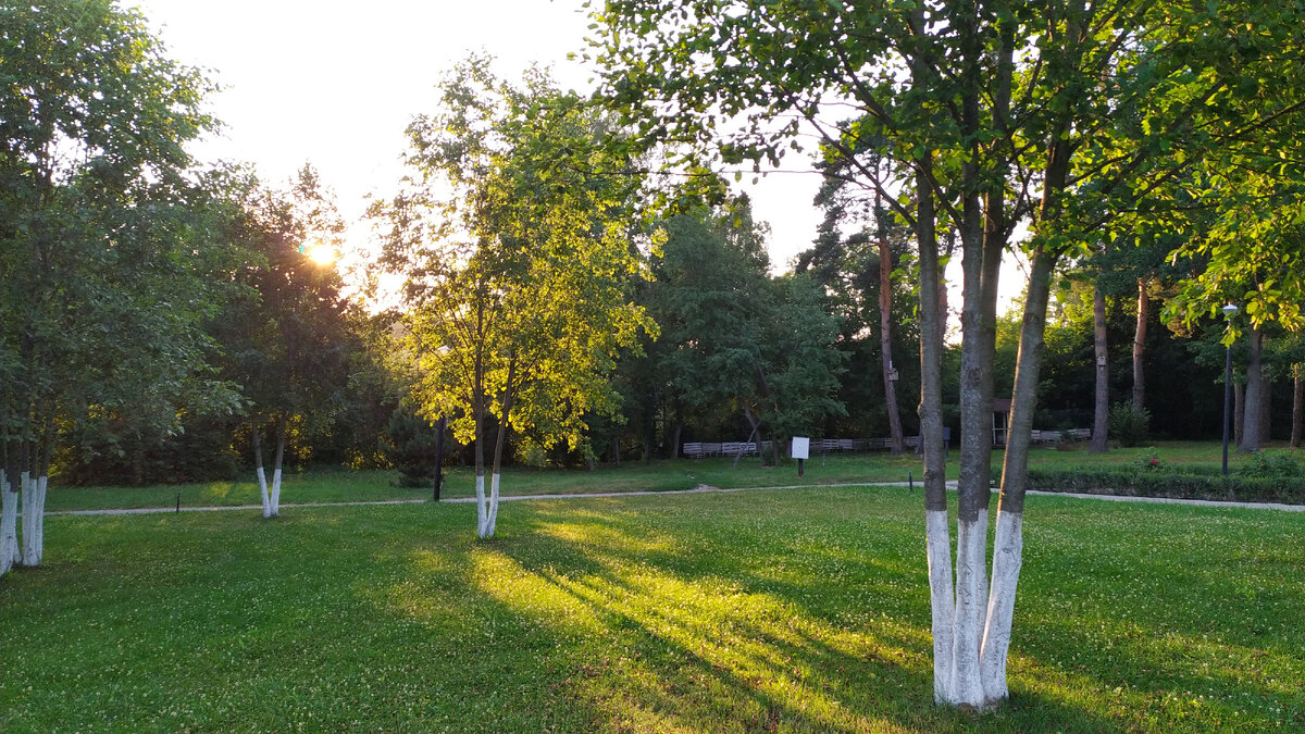 Вечер в парке(фото автора)