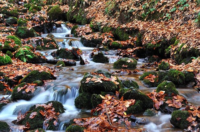  Изображение Mustafa Elmas с сайта Pixabay даже в такой ручей упасть - не очень хорошо: камни, осень и т.д. Во всем нужен опыт!