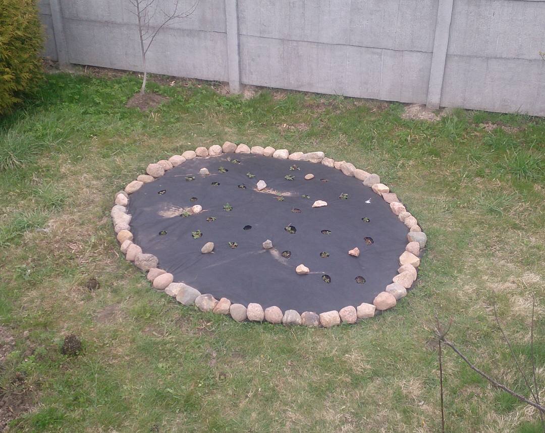 И выглядит как нарядная клумба)