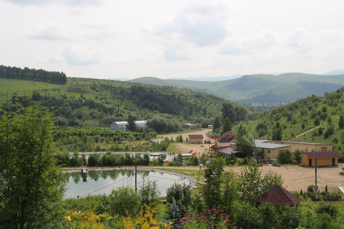 Дендропарк расположен в естественной чаше среди высоких холмов. Фото автора.