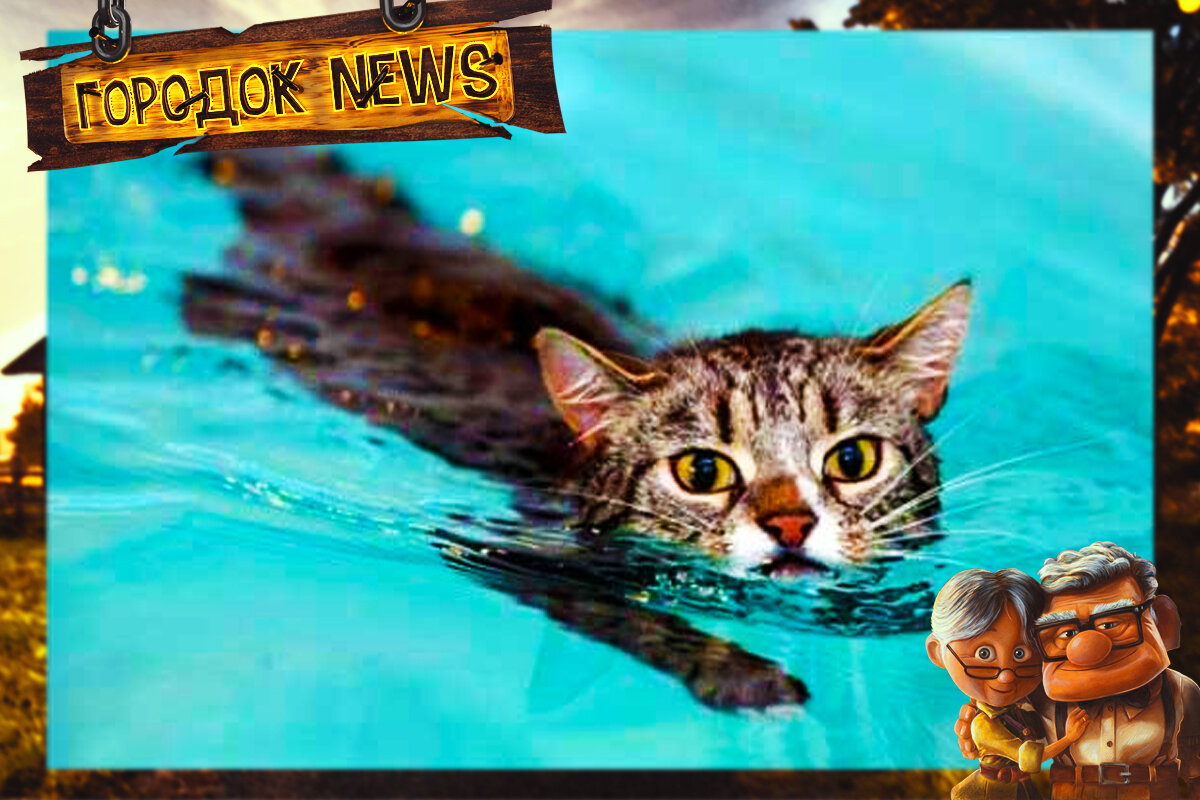 Источник Google картинки