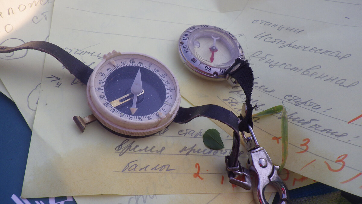 фото автора 