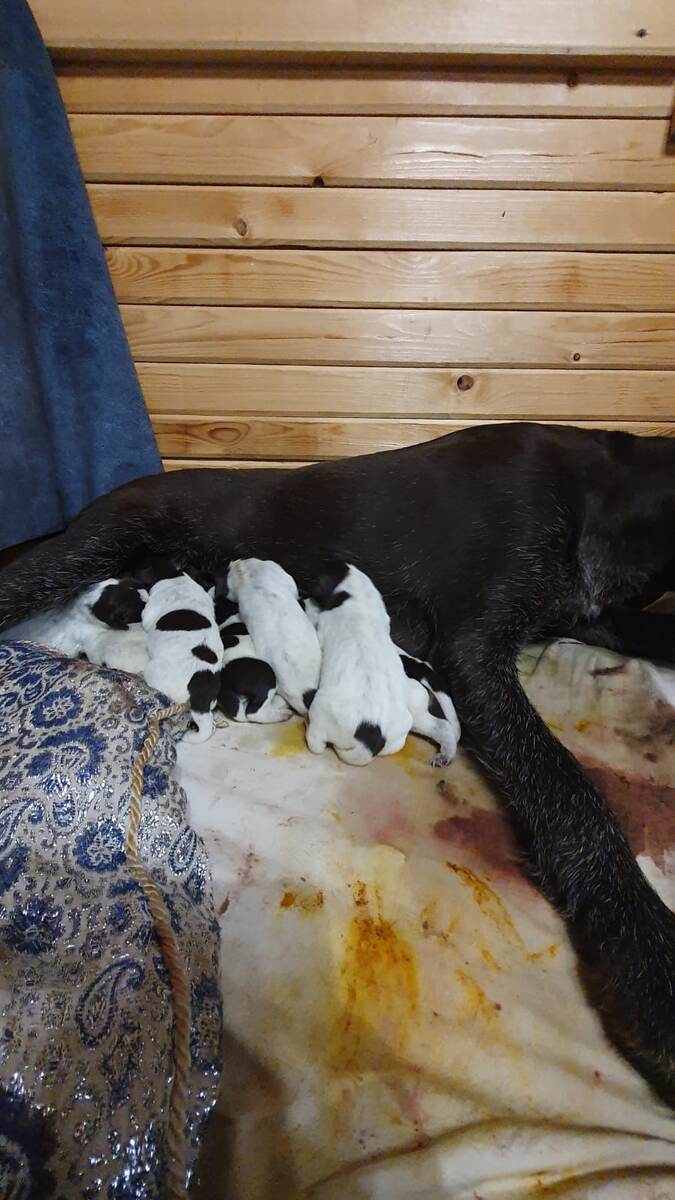 Вот такие простыни после родов