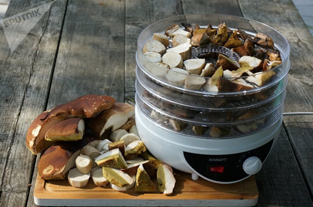 Сушилка (дегидратор) для фруктов, пастилы, мяса, овощей и грибов ТЕПЛОКЕРАМИК FD500