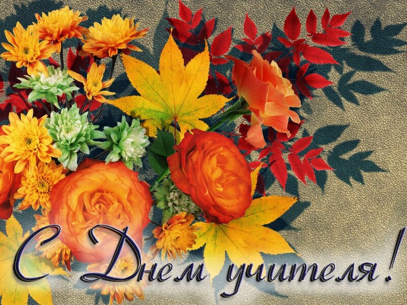 фото Яндекс Картинки