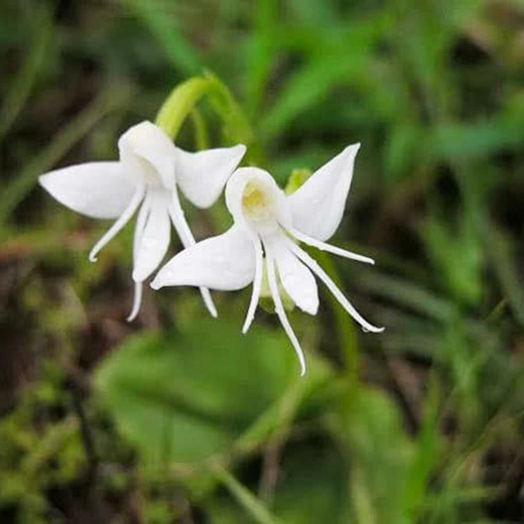 Добавьте описание