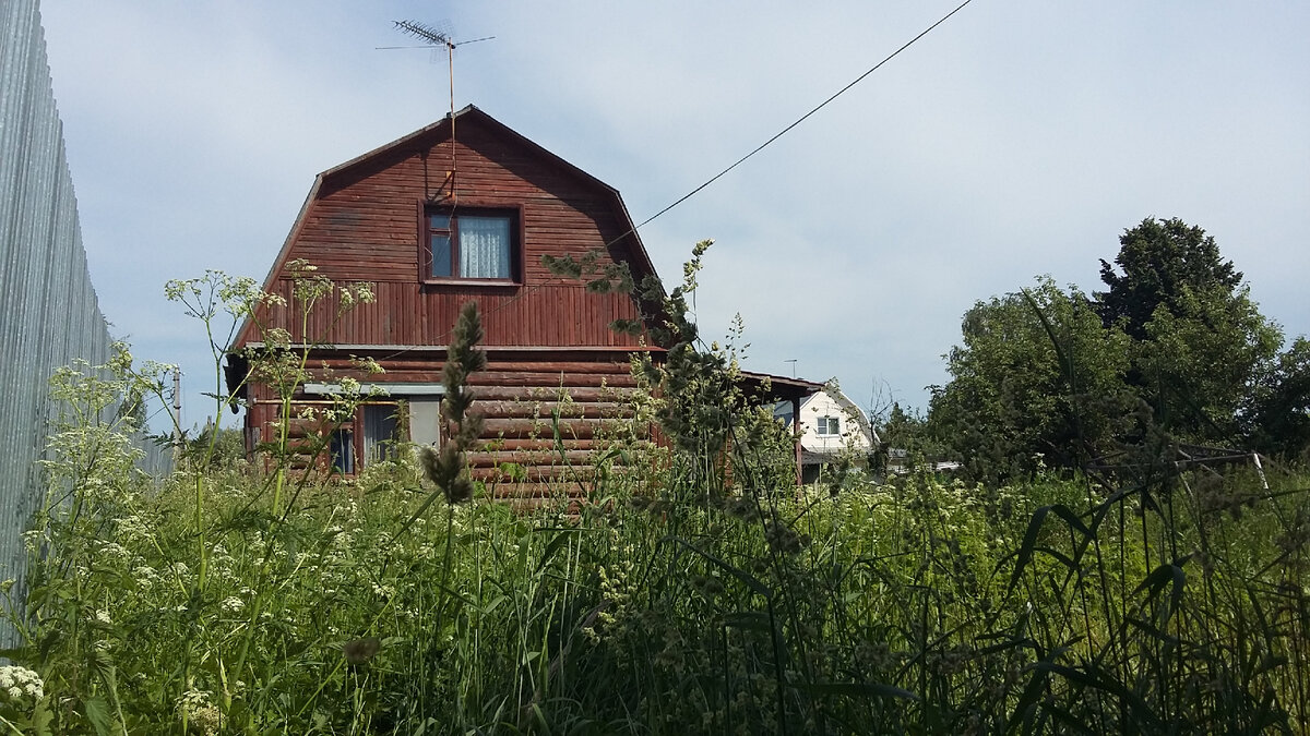 дом