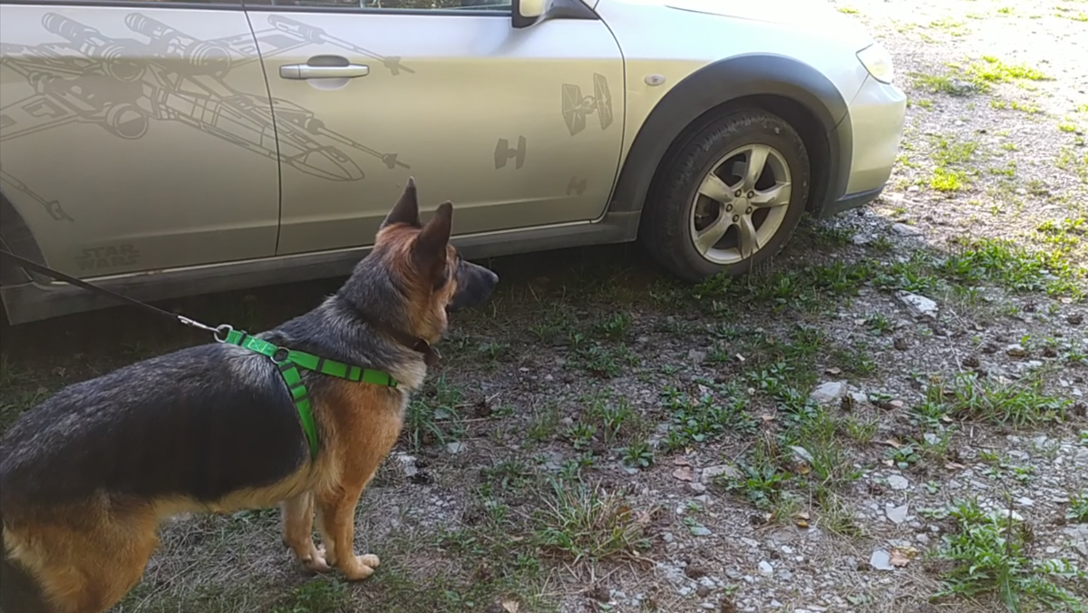 Очень интересно смотреть, как люди играют в волейбол