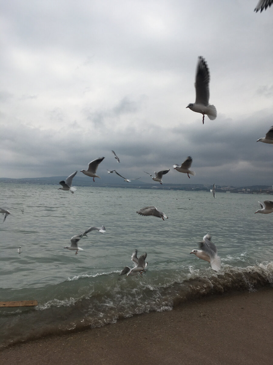 Фотография из личного архива автора