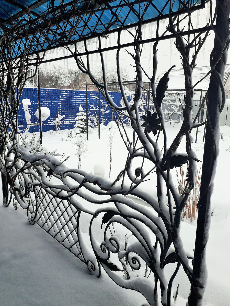 Пришла Зимушка на сутки и ушла, а у вас как?  