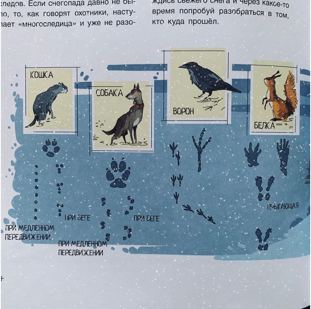 Фото: kachellybook (Instagram)