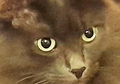 За фото Тихона благодарю Галину МАЛЫГИНУ)