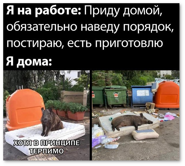 А утром просыпаешься и снова думаешь: "Вот приду домой после работы, и все сделаю"