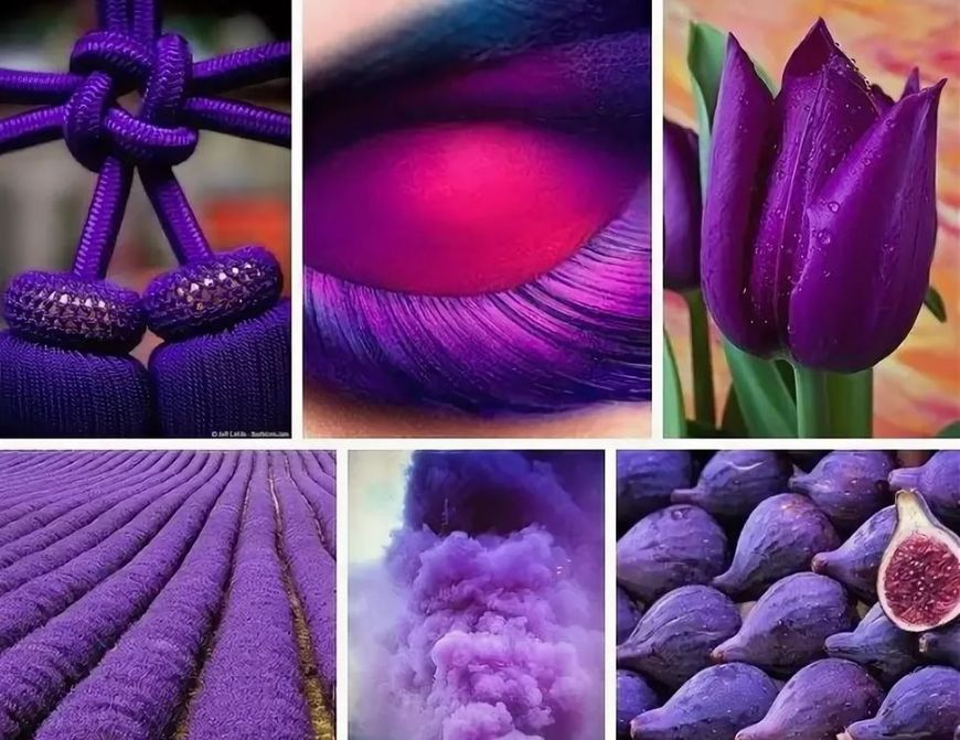 Если нравится фиолетовый цвет. Фиолетовые цветы. Фиолетовые предметы. Что ассоциируется с фиолетовым цветом. Лиловый цвет ассоциации.