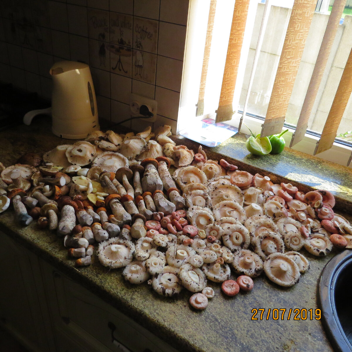 только в 2019 году они мне и достались в приличном количестве, в 2020 лес - срубили.