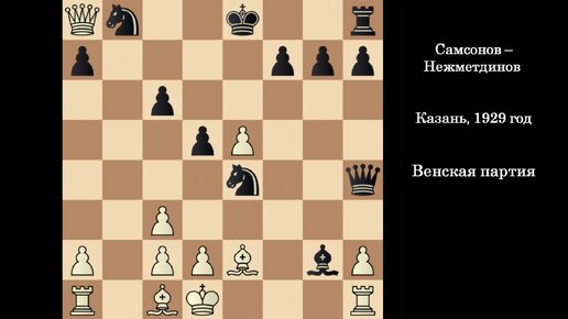 нежметдинов шахматная школа. гау рсшор по шахматам, шашкам, го им. р. дворец нежметдинова. книга шахматные уроки для начинающих нежметдинов.