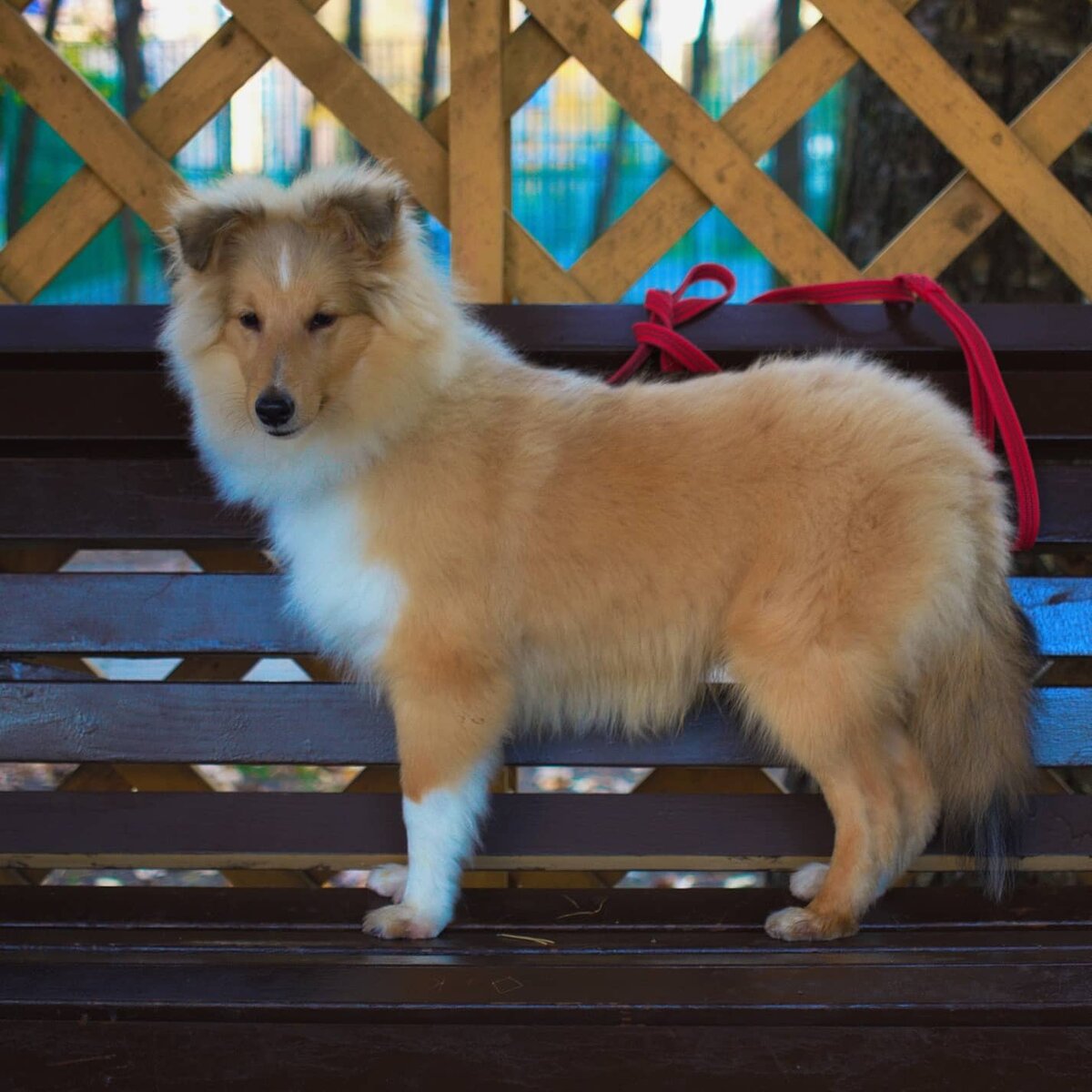 Тут Оливеру 4,5 месяца