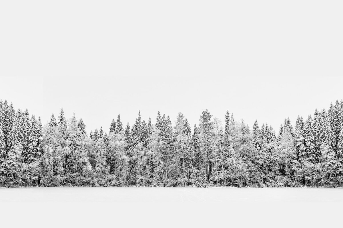 Фото из интернета, но очень похоже, только деревья пониже