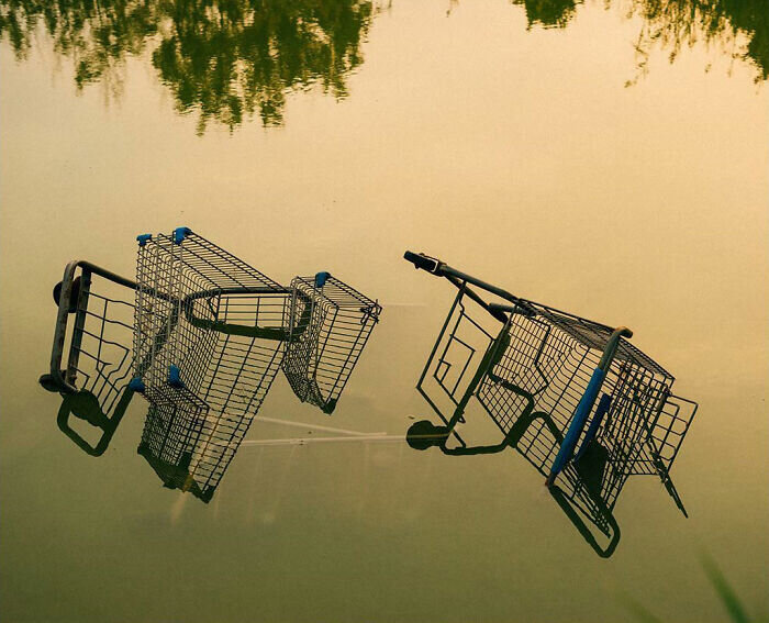 Источник: https://www.reddit.com/r/itookapicture/comments/j4y02u/itap_of_these_two_carts_half_submerged