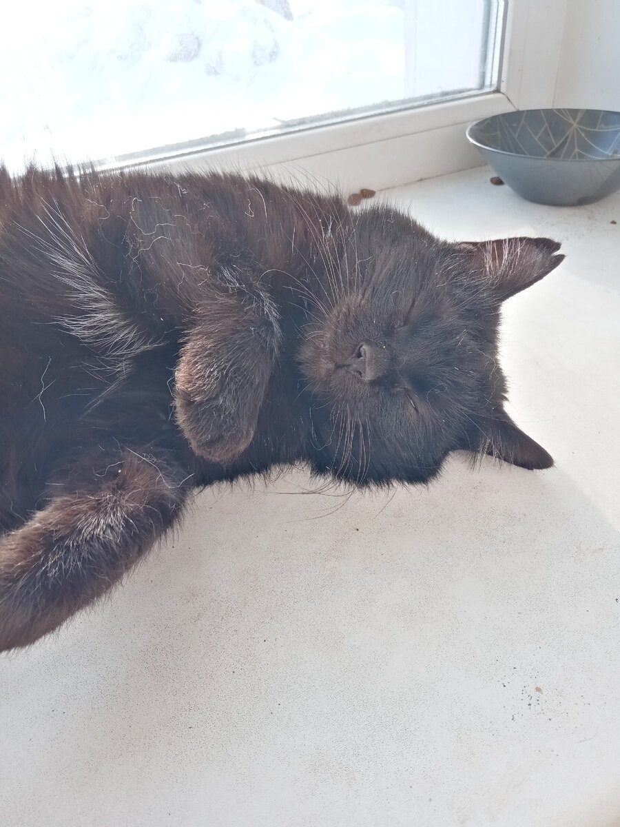 Седьмой. Яша. 