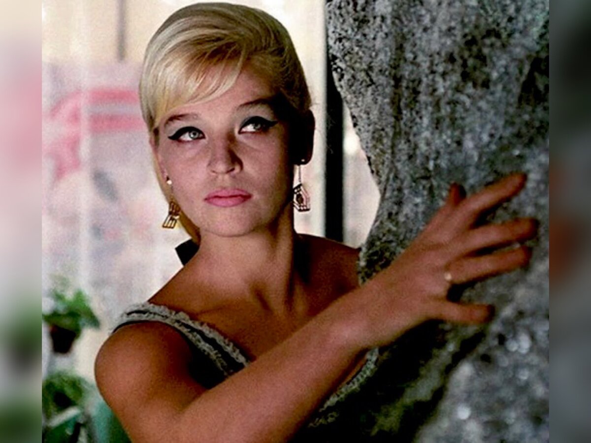 Скрин автора из открытого источника Телеграм