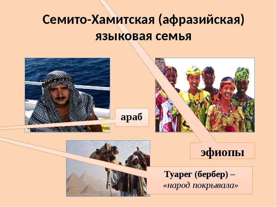 семито-хамитская (афразийская) семья. афразийская семья языков народы. семито хамитская семья семитская группа. народы афразийской языковой семьи. семито хамитская семья.