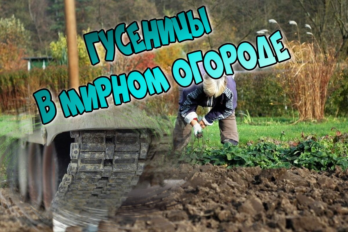 Авторский коллаж из фотографий открытых источников
