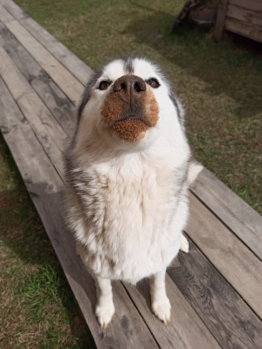И глаза всегда честные-честные!