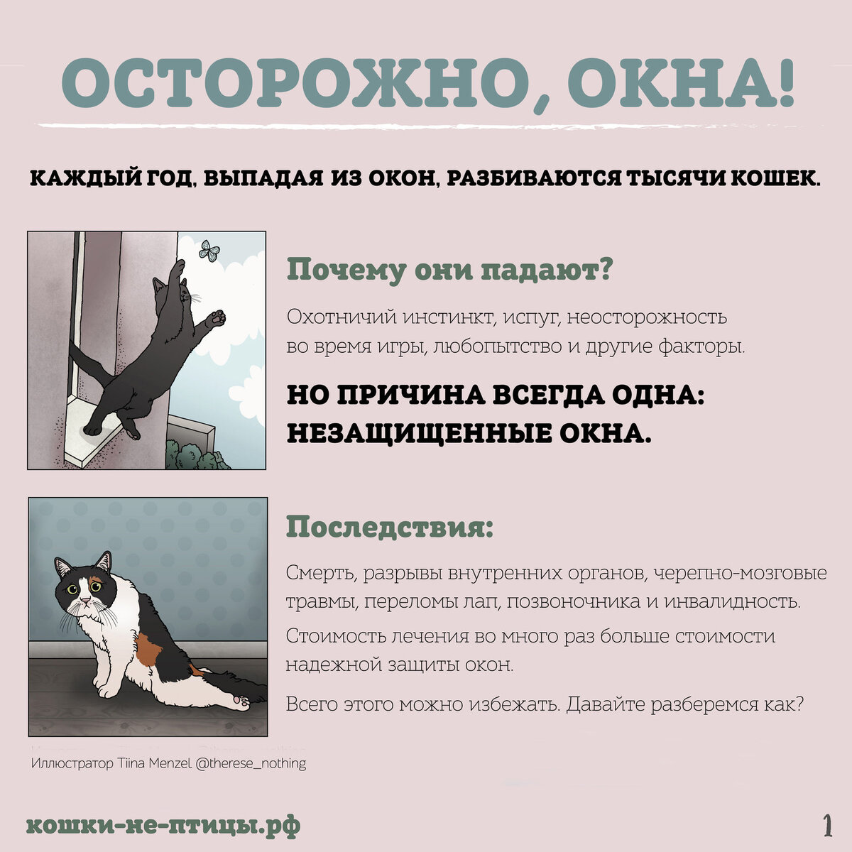 Материал от проекта "Кошки не птицы"