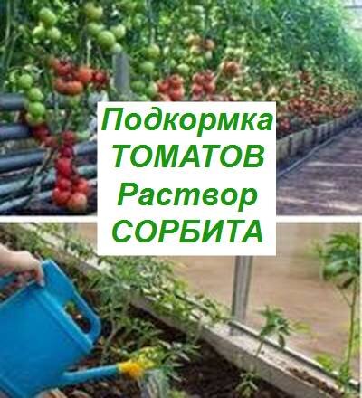 подкормка томатов сорбитом