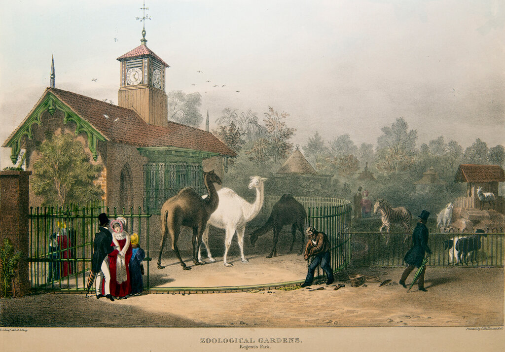 commons.wikimedia.org