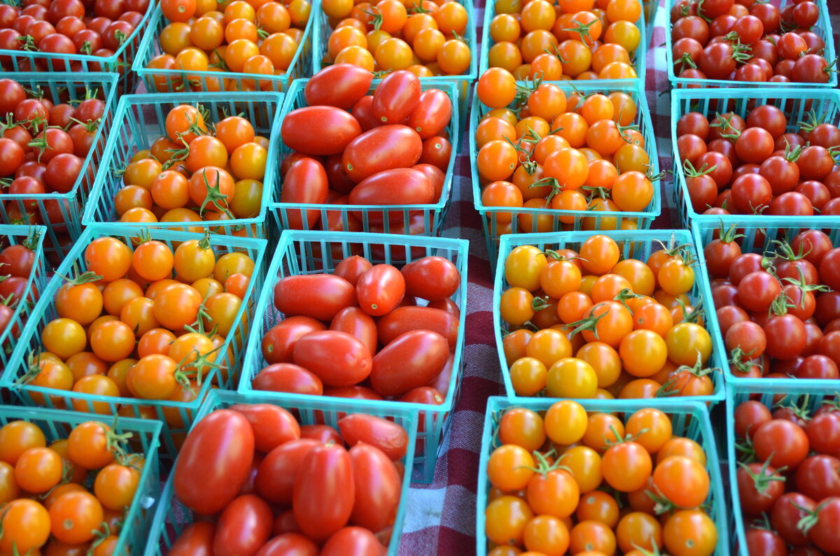Сербия рынок помидоры