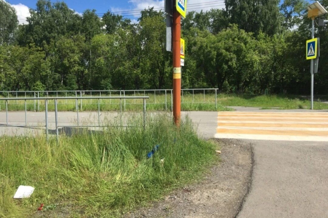 на месте преступления лежат свежие цветы // 72.ру