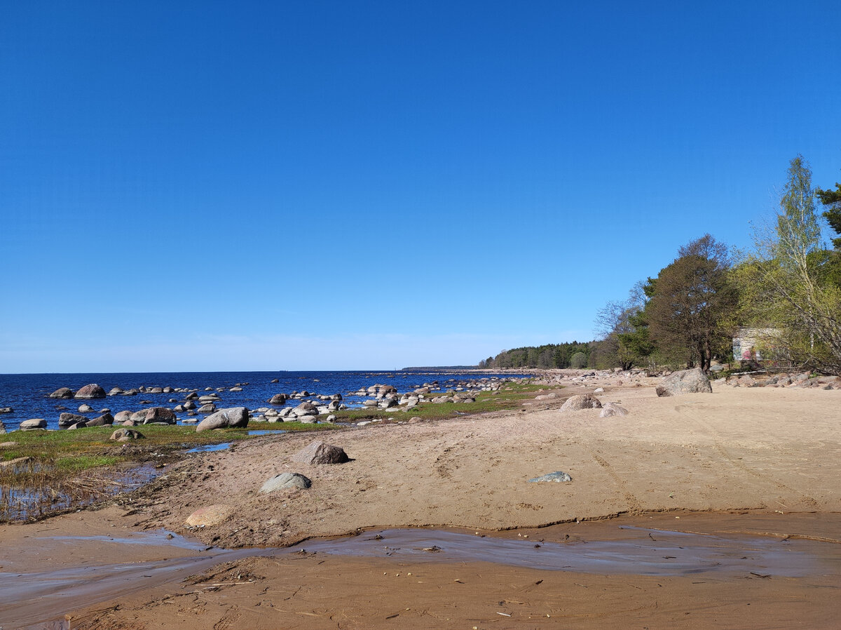 Берег Финского залива