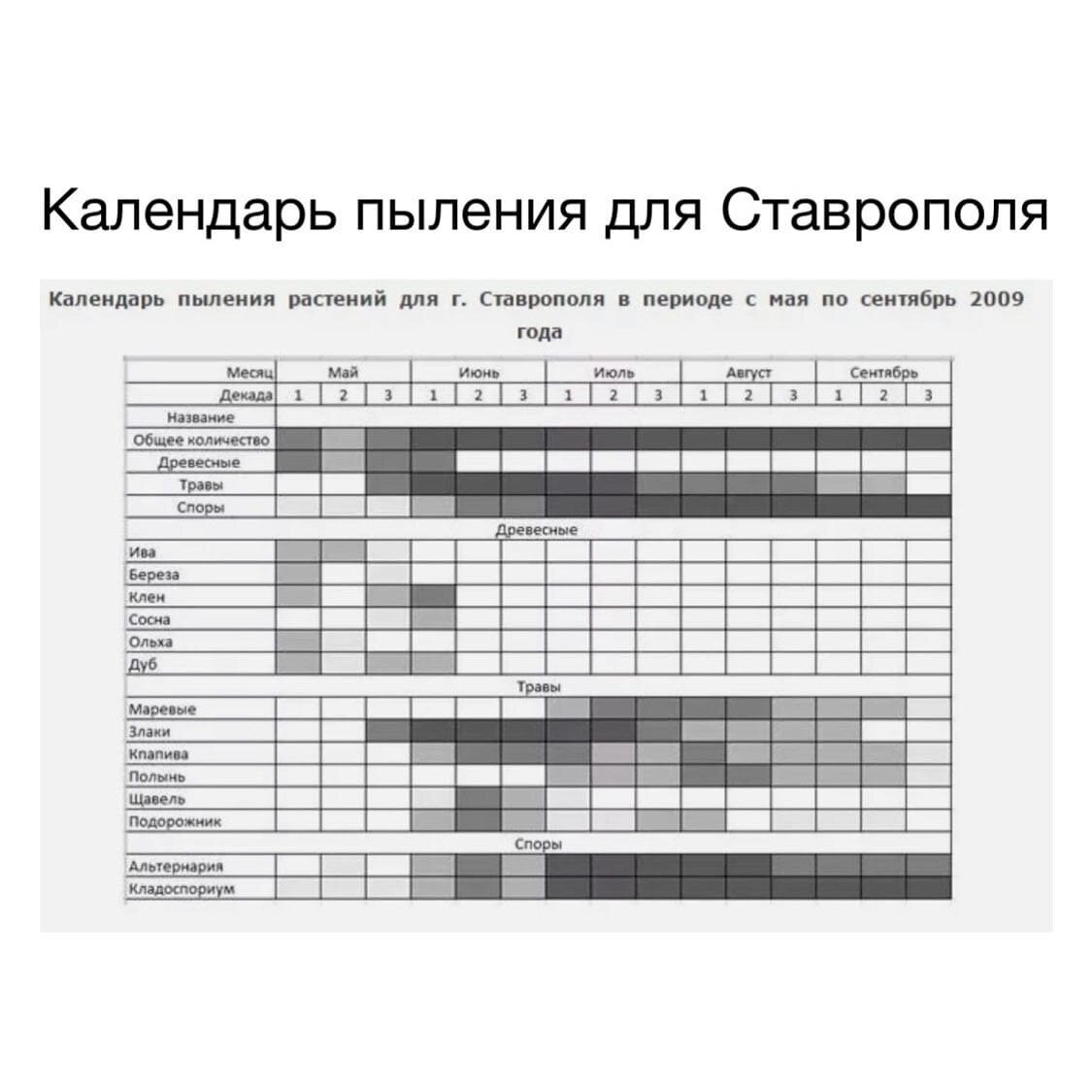 Календарь аллергика спб. Календарь аллергика. Календарь поллиноза. Когда начинают пылить злаковые травы.