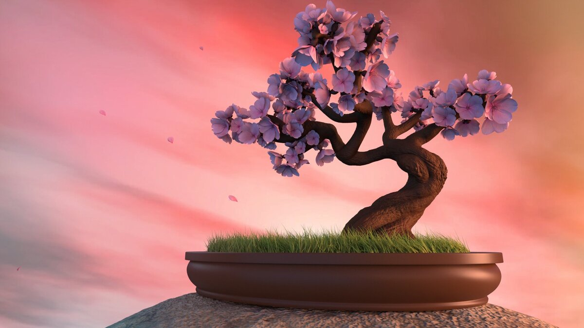 картинка из свободного источника  в интернете