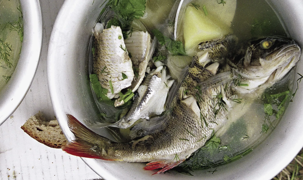 Вариант 2: Быстрый рецепт ухи из речной рыбы