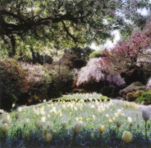 фото: Линн Гизаман