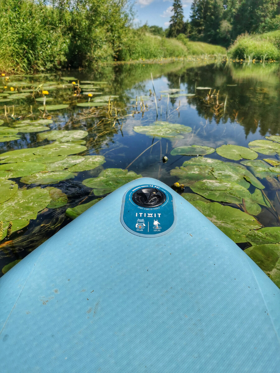 Что такое SUP board и как на нем плавать, чтобы не падать в воду | Хорошо  там, где нас нет | Дзен