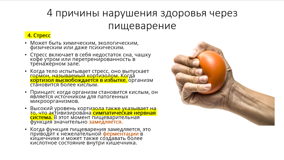 Из моей презентации тренинга по питанию 