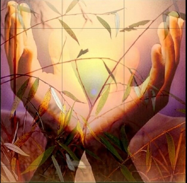 Картинка из открытого доступа в интернете