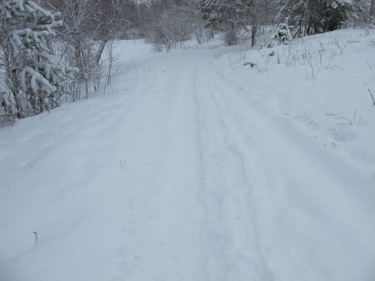 Методическая работа порой так похожа на заснеженный пейзаж. Трудно догадаться, как надёжен выбранная тропа. Легко ли будет двигаться в заданном направлении, не обманчив ли след впереди.
