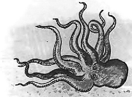 Иллюстрация Бориса Кыштымова. Фото взято из открытых источников в сети Интернет.