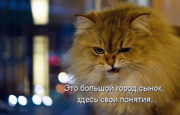 Фото из доступных источников
