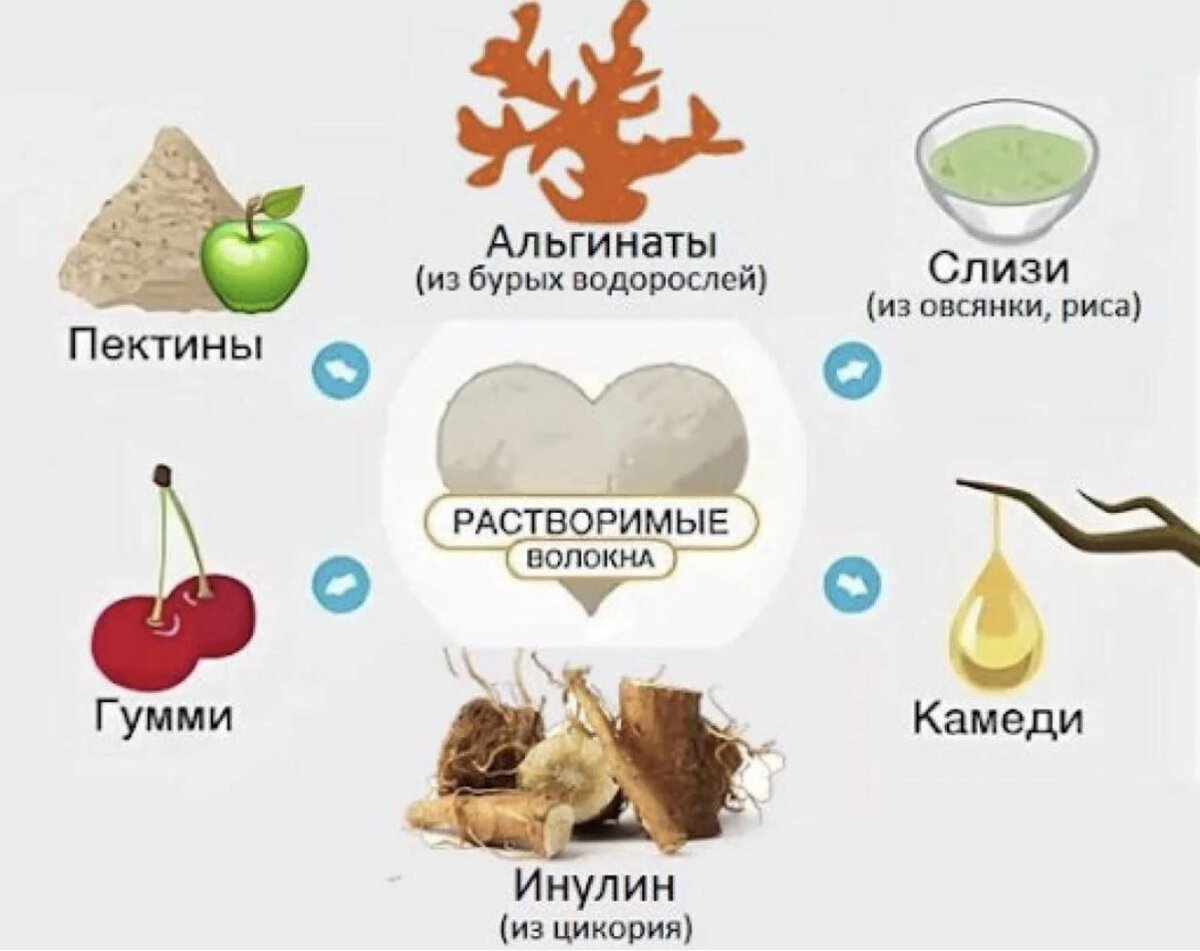 Растворимая и нерастворимая клетчатка в продуктах питания таблица. Роль пищевых волокон и клетчатки. Продукты богатые клетчаткой от запоров. Растворимые пищевые волокна. Растворимые пищевые волокна.