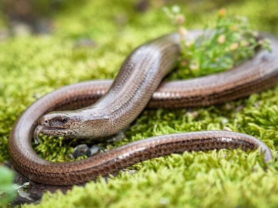     Фото: mep.mosreg.ru