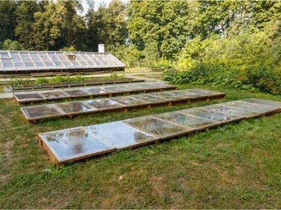     фото: ypmuseum.ru.