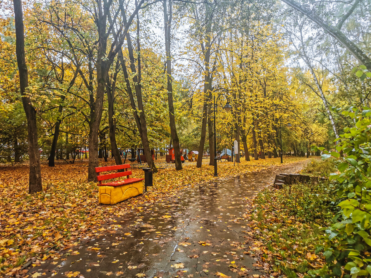 Осень в парке имени Воровского.