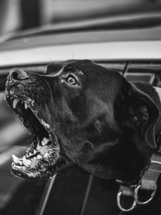    Фото unsplash.com